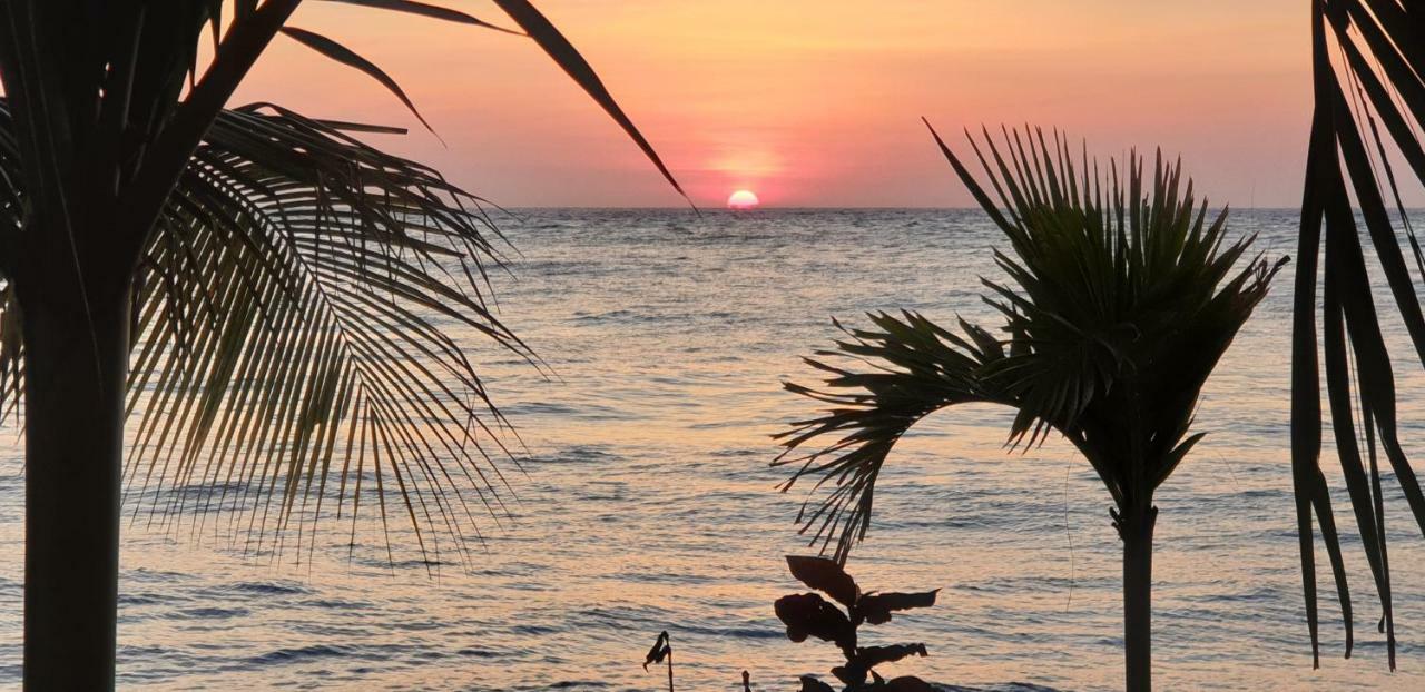 منتجع ناليني آميدْ المظهر الخارجي الصورة